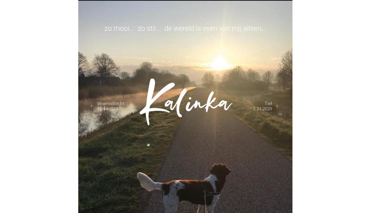 Foto rouwkaart Kalinka.site Foto rouwkaart Kalinka.site